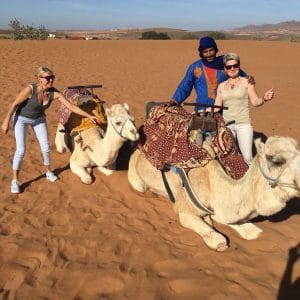 Agadir small desert camels girls