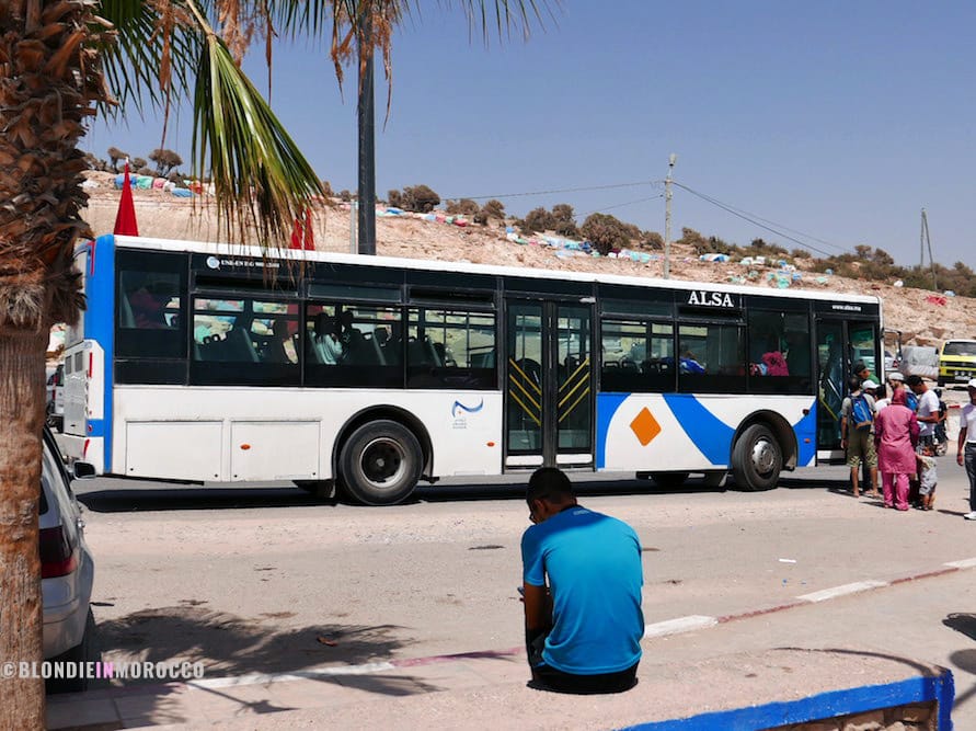 taghazout, bus, local bus, palm trees