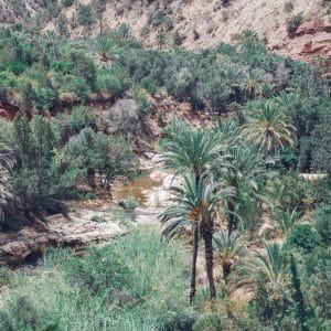 paradise valley morocco agadir