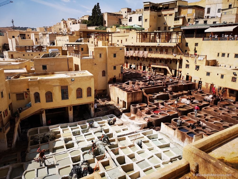 tanneries fez