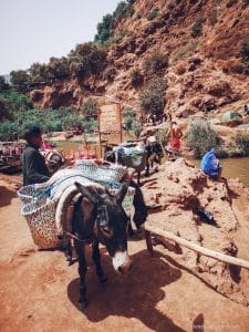 ouzoud, waterfall, river, lake, people, donkey