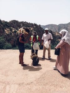 monkey, forest, morocco, people, ouzoud