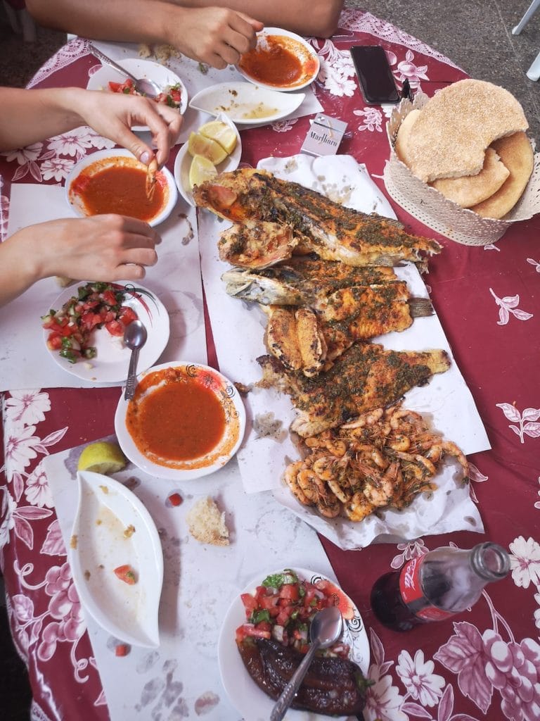 moulay bousselham morocco fish port