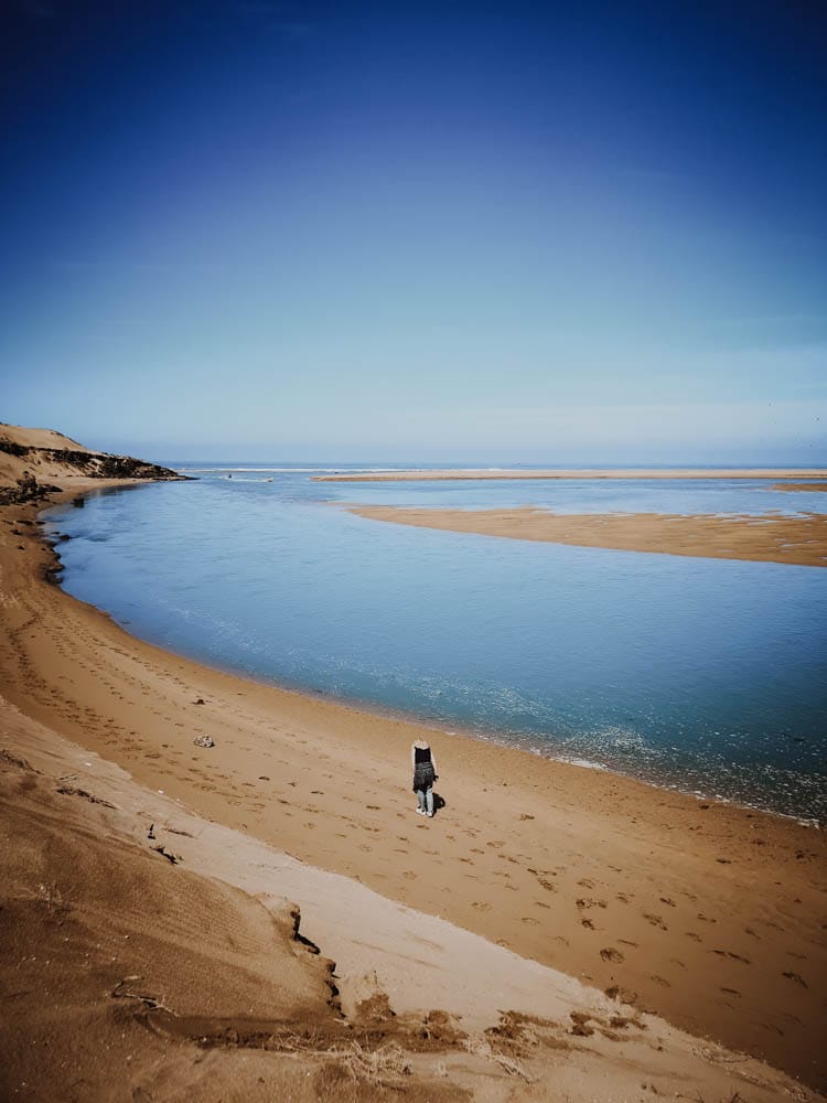 beach morocco sand water birdwatching
