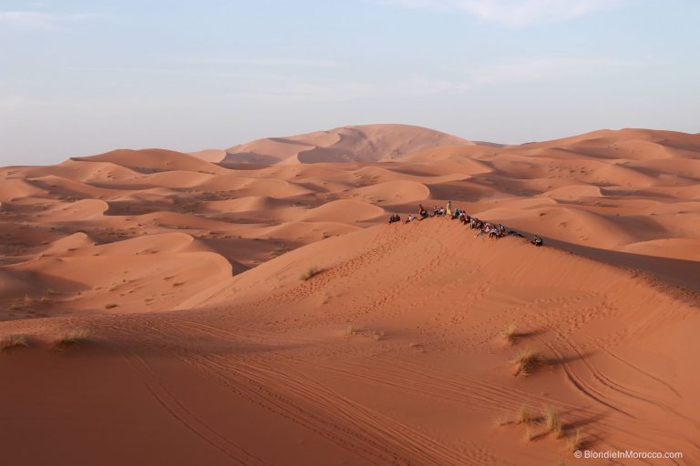 Merzouga vs Zagora for the Sahara desert trip in Morocco?