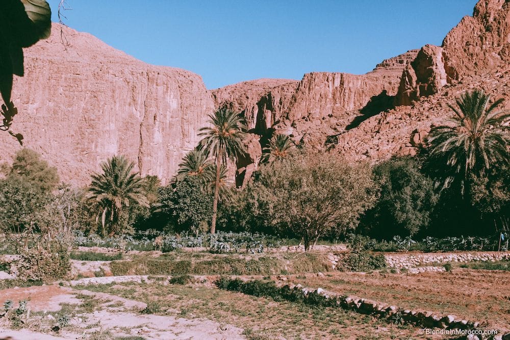 Todgha gorges morocco