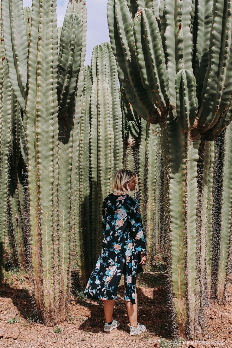 Cactus Thiemann – Africa’s largest cactus farm in Marrakech
