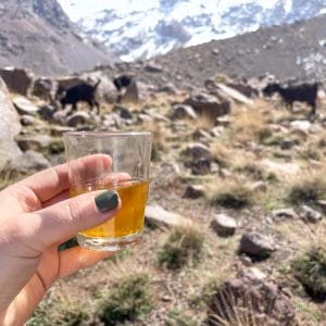 morocco imlil mountains high atlas trekking tea