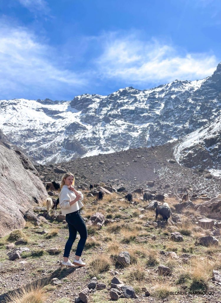 morocco imlil mountains high atlas trekking goats