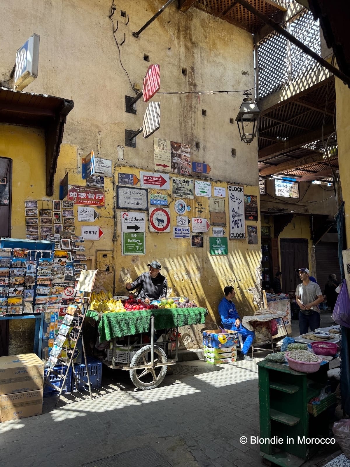 Fes Morocco Travel Guide 2026: What to See & Do | Blondie in Morocco